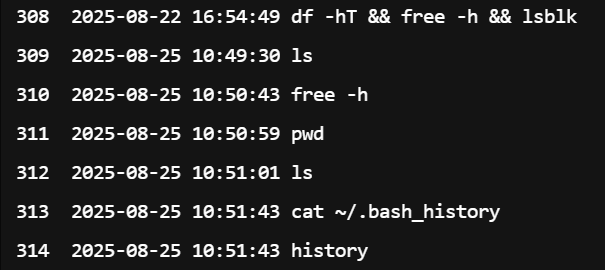 image-20250825111135263