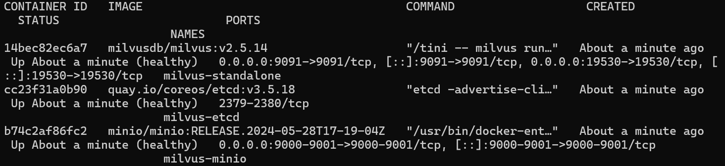 image-20250914224105230